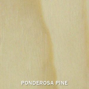 ponderosa-pine