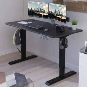 Radlove Electric Standing Desk 48 x 24 Inches