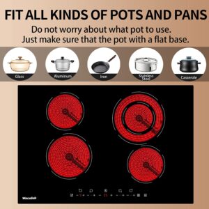 Weceleh Electric Ceramic Cooktop Pots and Pans